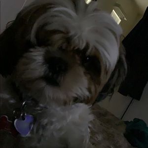 Meet your Posher, Claudia